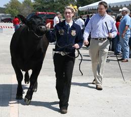 spring try club livestock show
